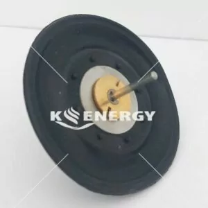 ΜΕΜΒΡΑΝΗ ΤΡΙΟΔΗ 1 (2)