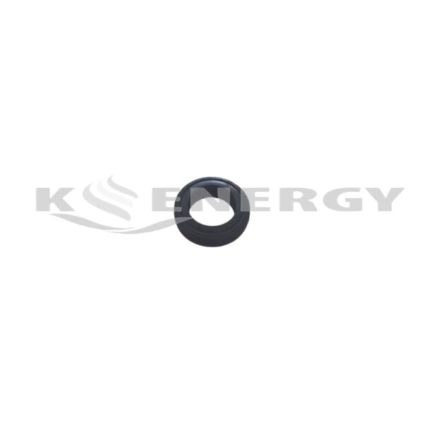 O-RING ΜΙΚΡΟ ΓΙΑ ΠΛΑΚΟΕΙΔΗ ΕΝΑΛΛΑΚΤΗ