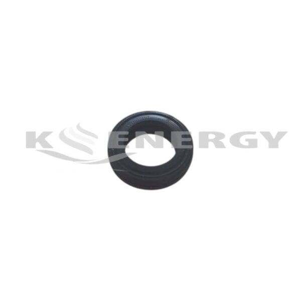 O-RING ΓΙΑ ΠΛΑΚΟΕΙΔΗ ΕΝΑΛΛΑΚΤΗ
