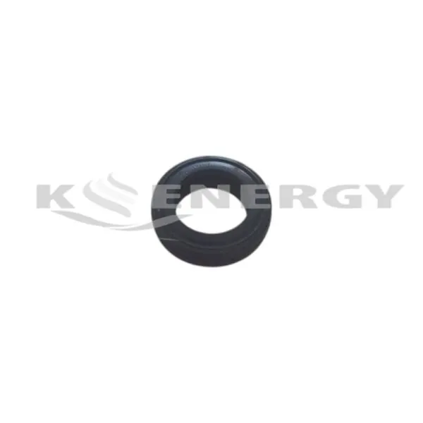O-RING ΓΙΑ ΠΛΑΚΟΕΙΔΗ ΕΝΑΛΛΑΚΤΗ